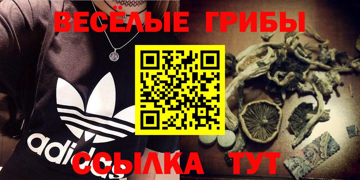Красногорск  Галлюциногенные грибы мицелий  Галлюциногенные грибы Psilocybe  Вход с VPN 