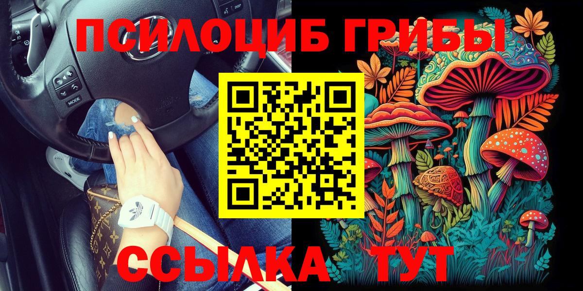 Псилоцибиновые грибы мицелий Красногорск